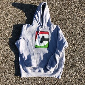 Gray Hoodie with Colorful Logo